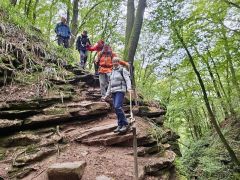 ffde9a3a-8090-452d-b903-bbdb023390d9