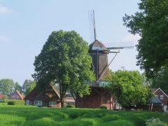 image_23 image_23